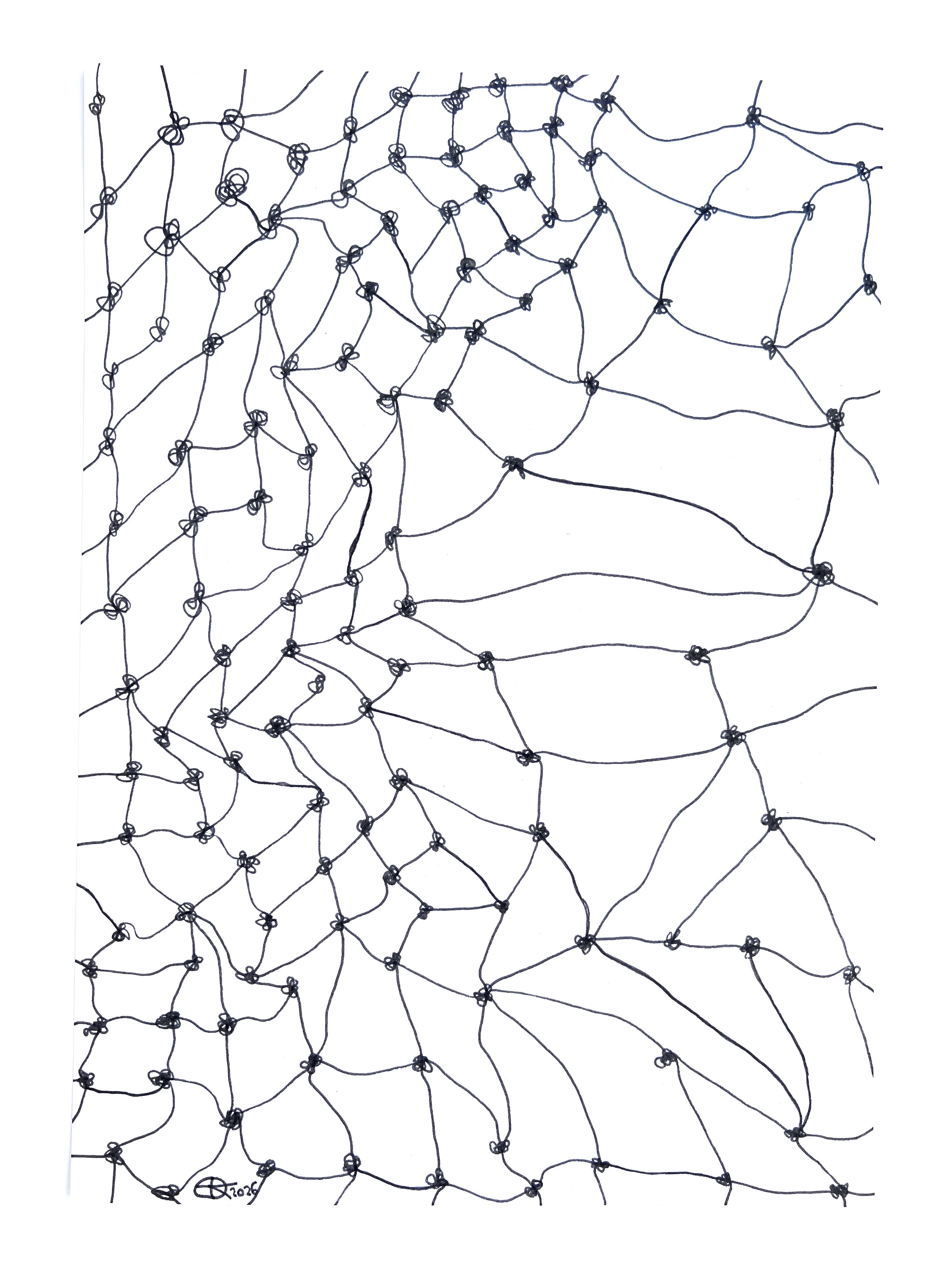 Meshy drawing no. 65, artist sketch