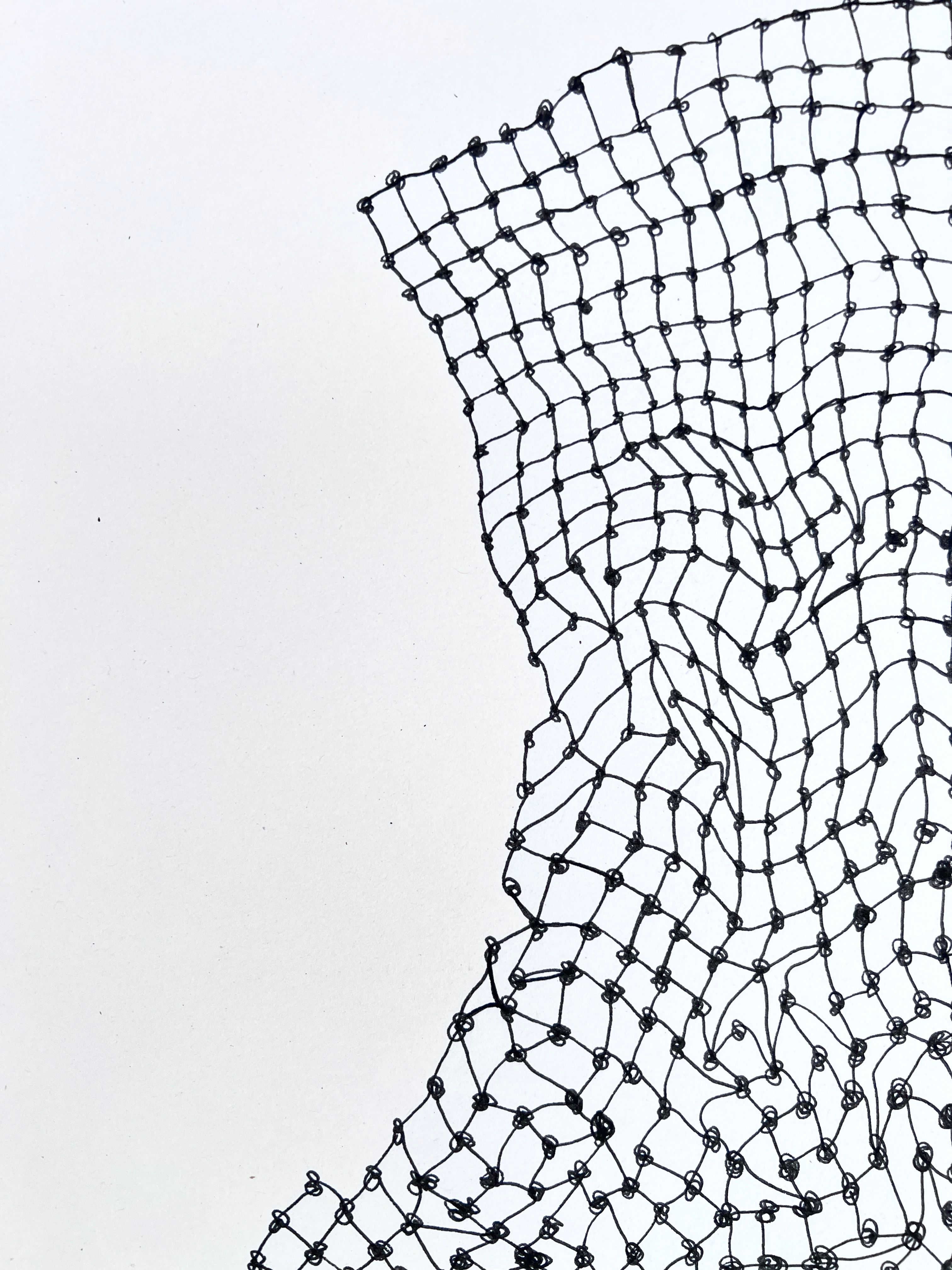 Meshy drawing no. 41, artist sketch