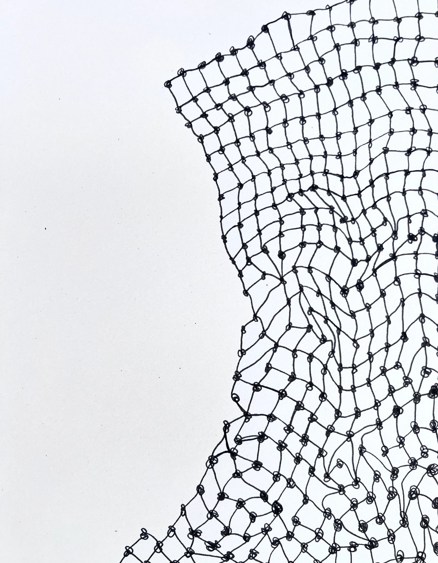 Meshy drawing no. 41, artist sketch