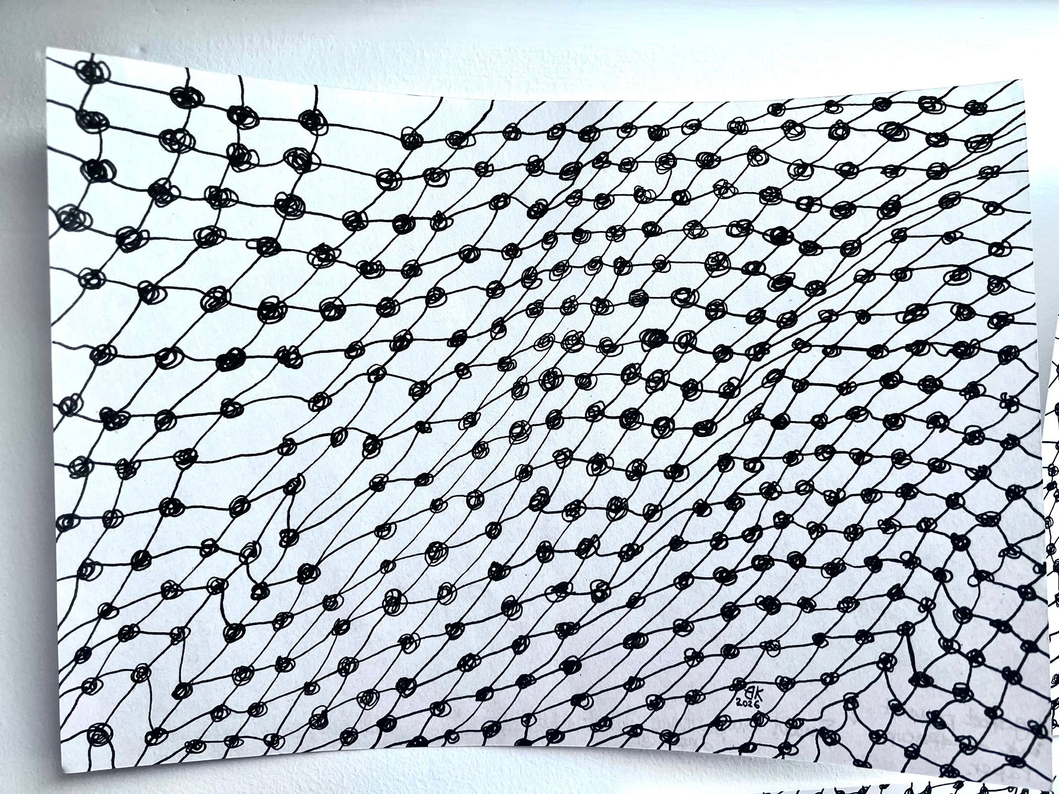 Artist sketch of a net. Pen and black lightfast ink drawn on Bristol board white paper, of a meshes consisting of knots and lines, all appear different and irregular. The image covers the paper and appears to be a net structure.