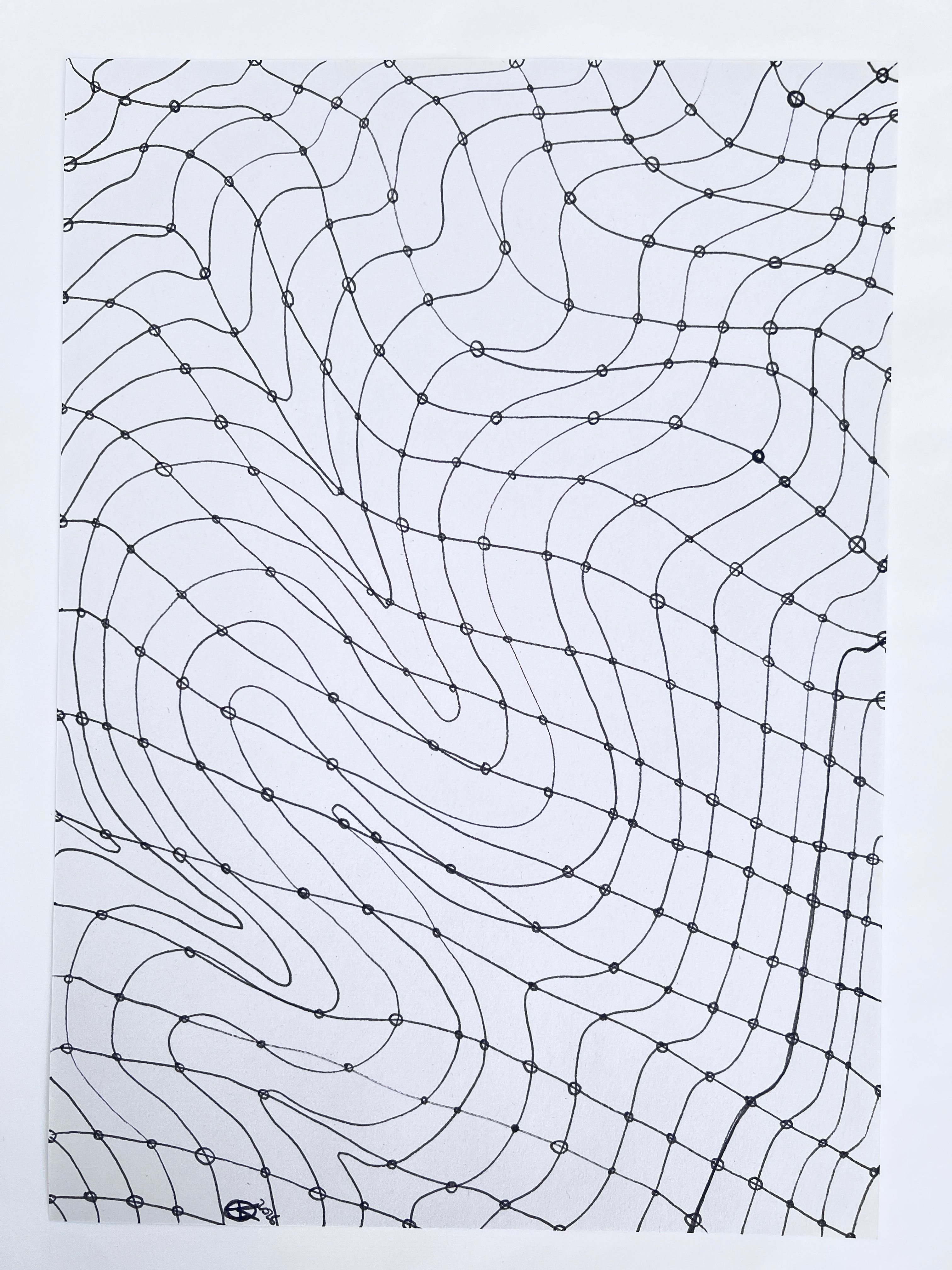 Linear drawing of the mesh, a net like structure consisting of lines (connectors) and knots interconnecting throughout the composition.
