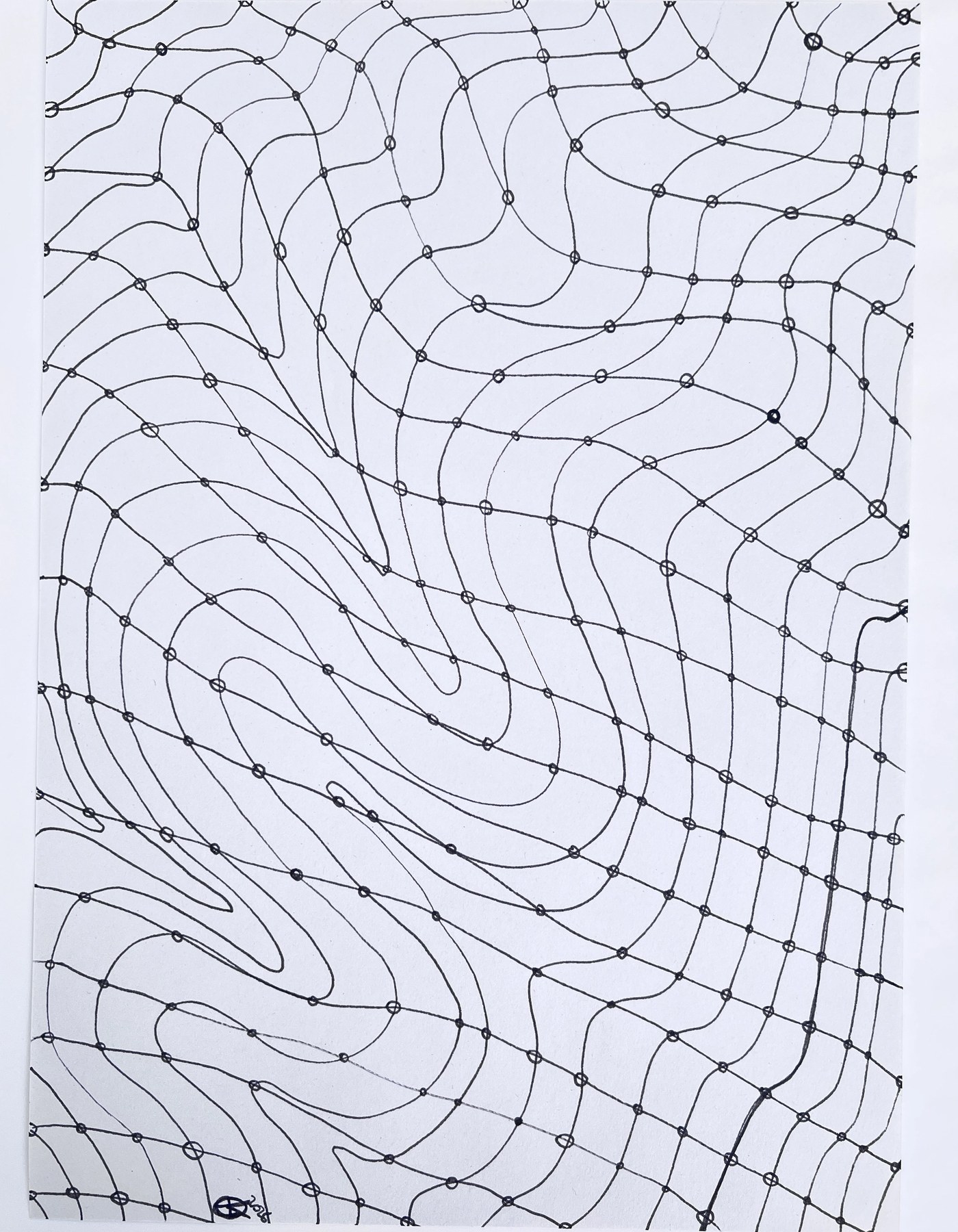 Meshy drawing no. 101, artist sketch