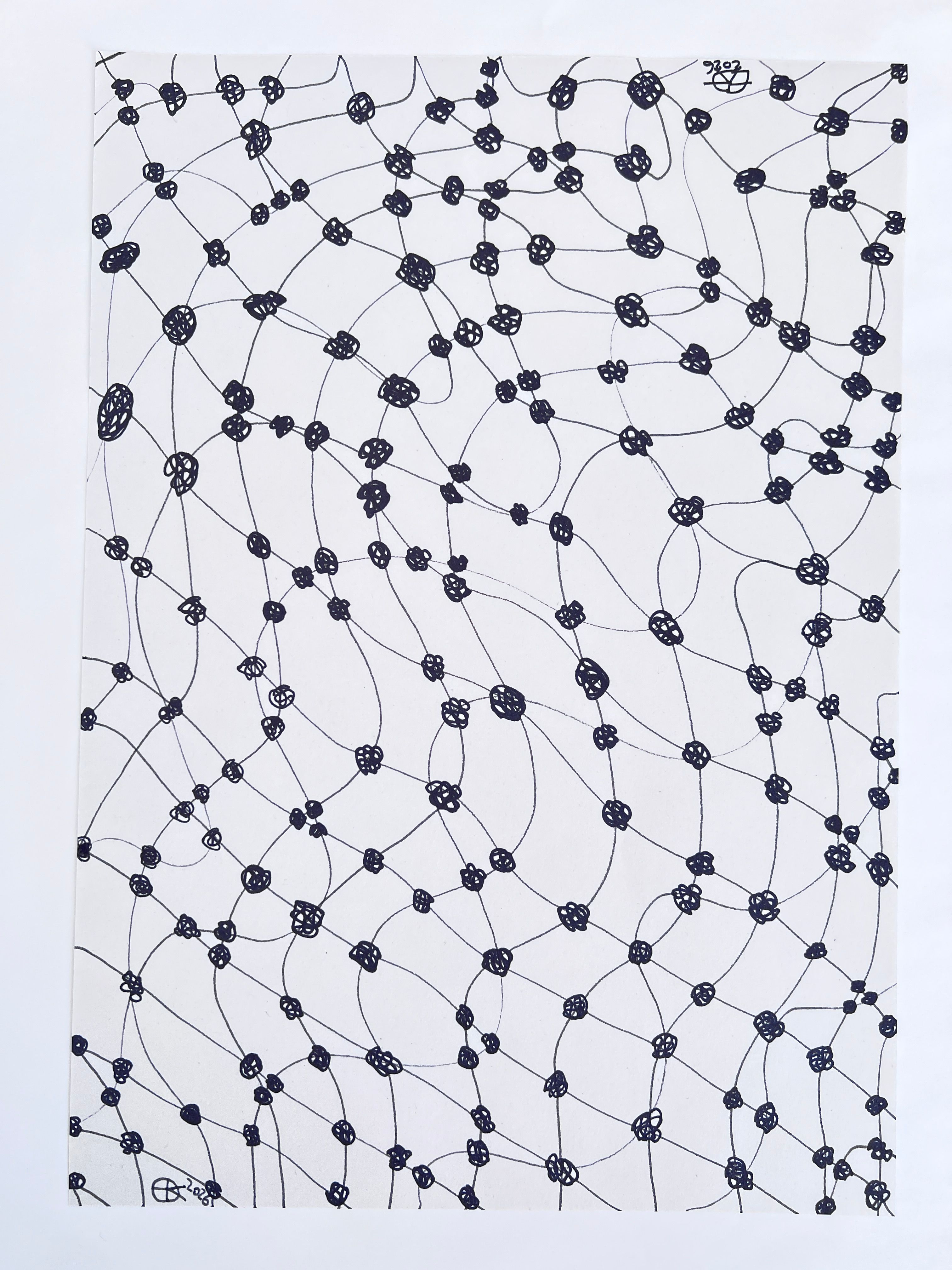 Linear drawing of the mesh, a net like structure consisting of lines (connectors) and knots interconnecting throughout the composition.