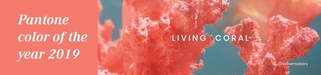 If you are finding difficulty in choosing a color palette for your email design and if you don’t want to use the corporate colors,