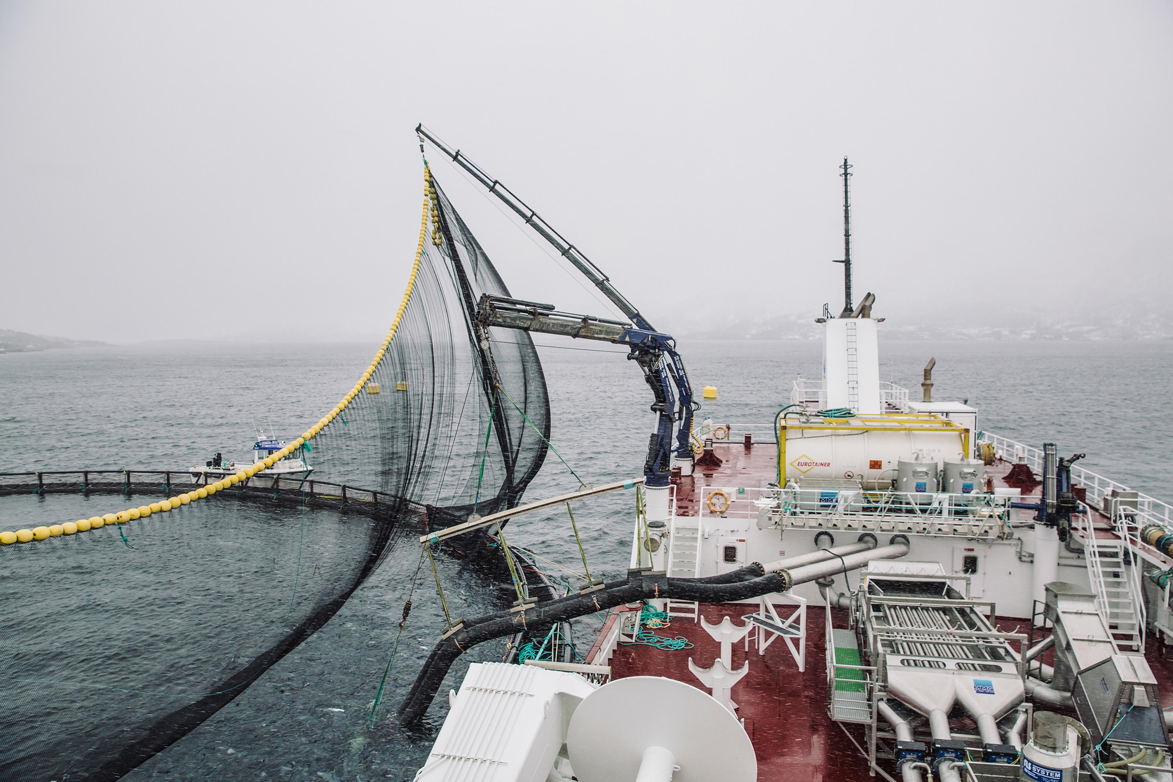 Fotograf av brønnbåt fra Marius Fiskum for Norges sjømatråd