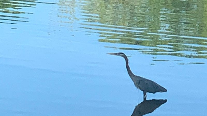 Your Growth Is a Mirror Image of Where You Are Looking
