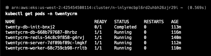 kubectl command output in a terminal showing the Twenty pods