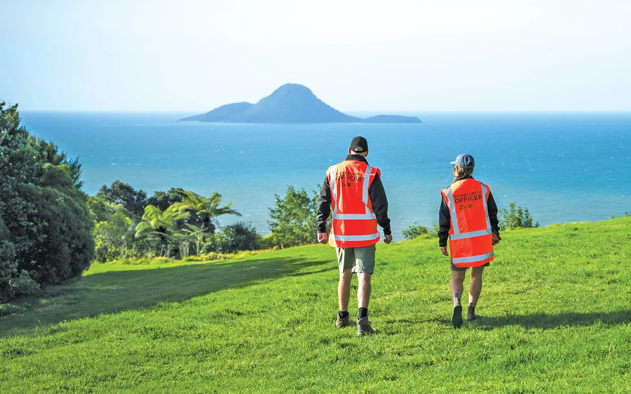 Bay of Plenty Regional Council — Award-Winning Council Website Redesign
