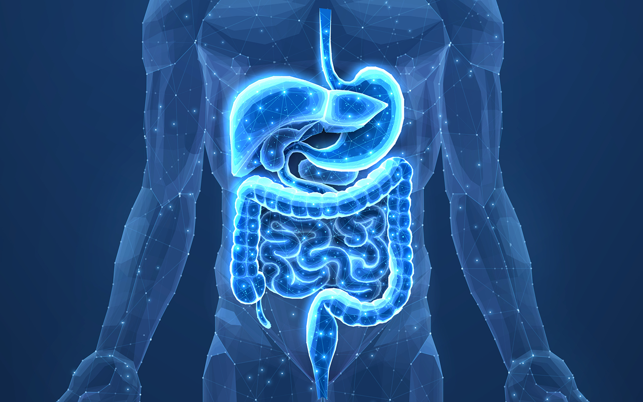 SIMTICS — Medical Simulation Training Platform