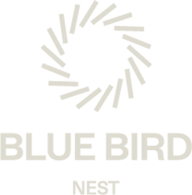 Blue Bird Nest