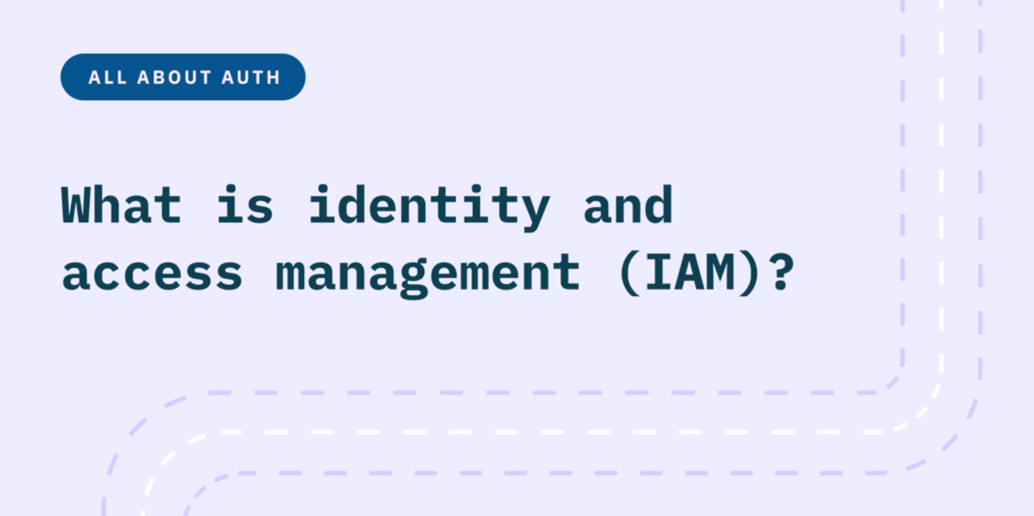 What is identity and access management (IAM)?