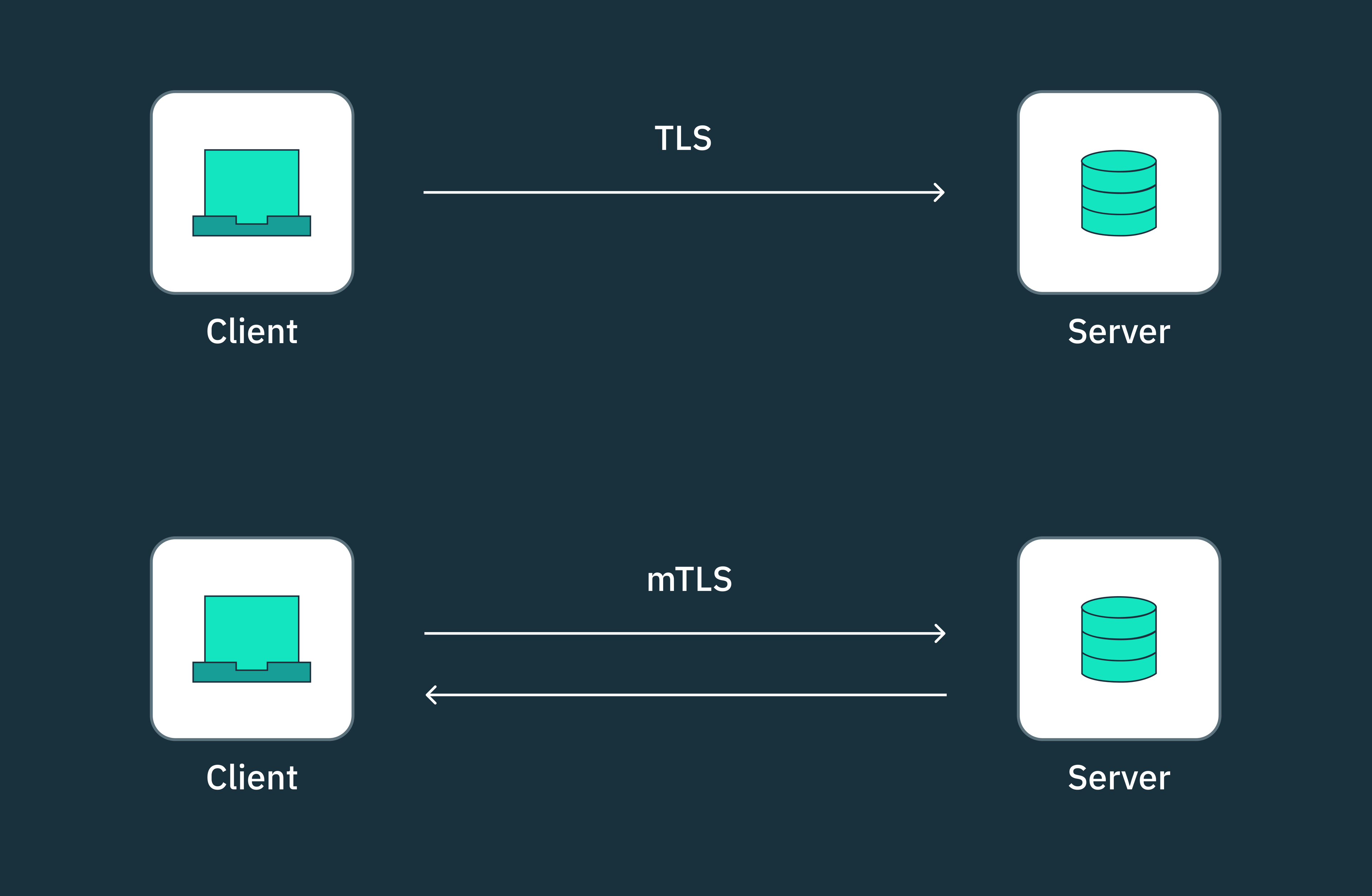 TLS and mTLS