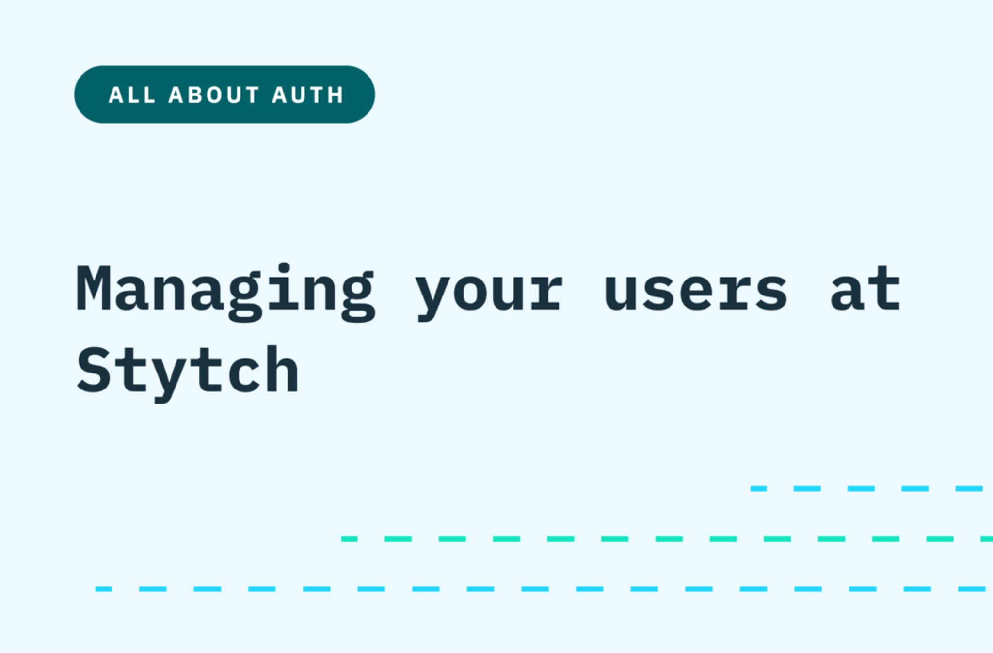 Managing your users at Stytch