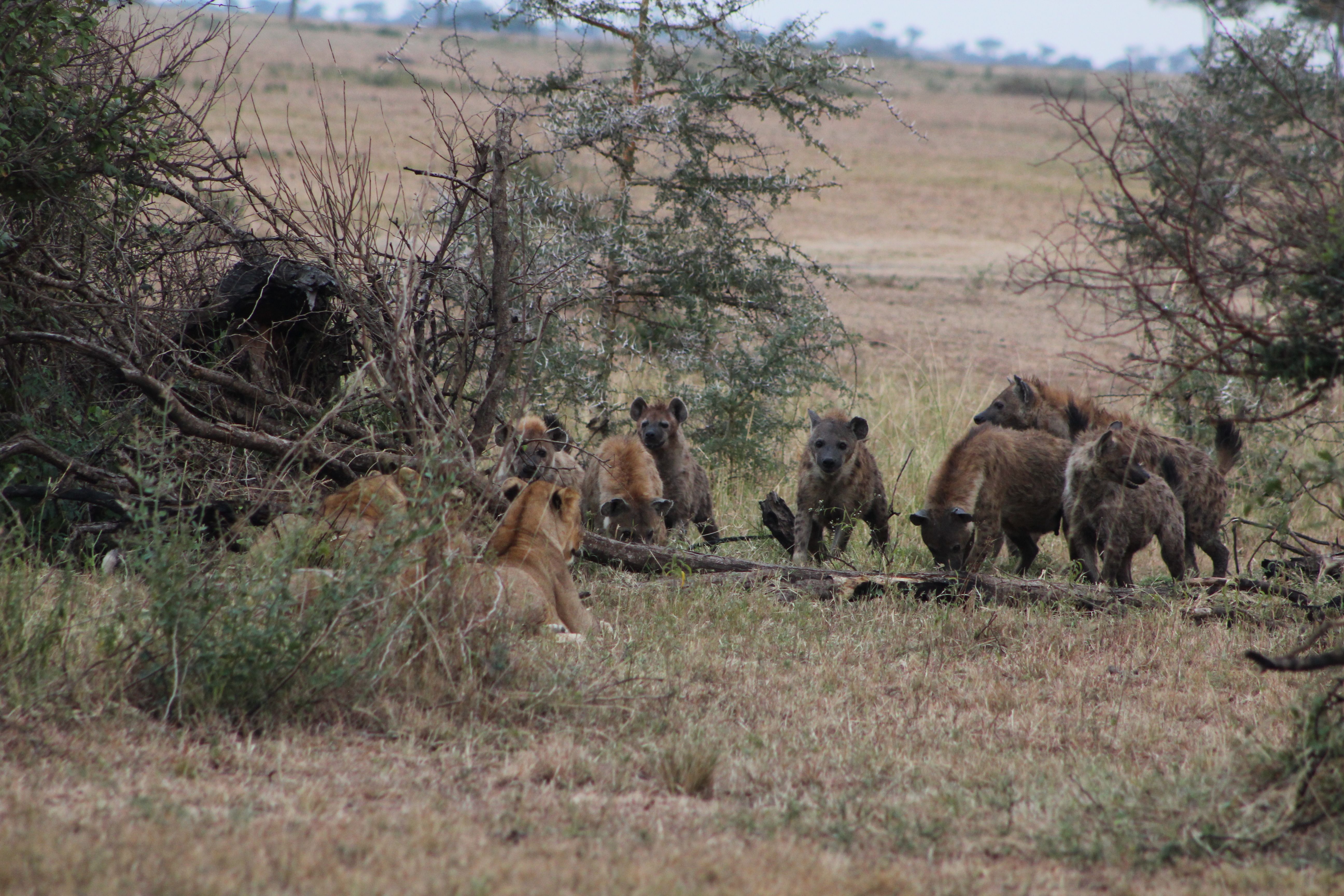 10 DAYS TANZANIA ADVENTURE