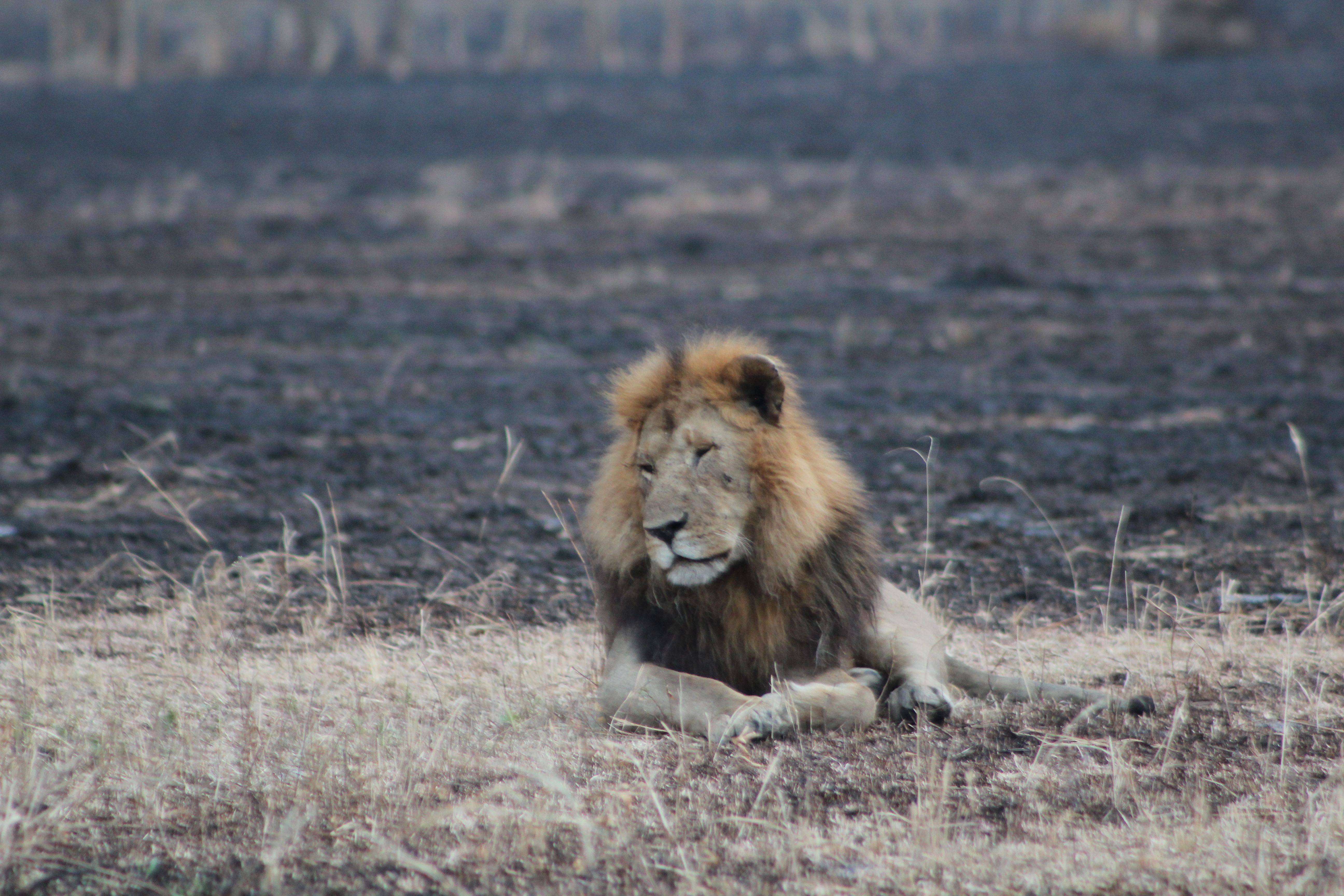 10 DAYS TANZANIA ADVENTURE