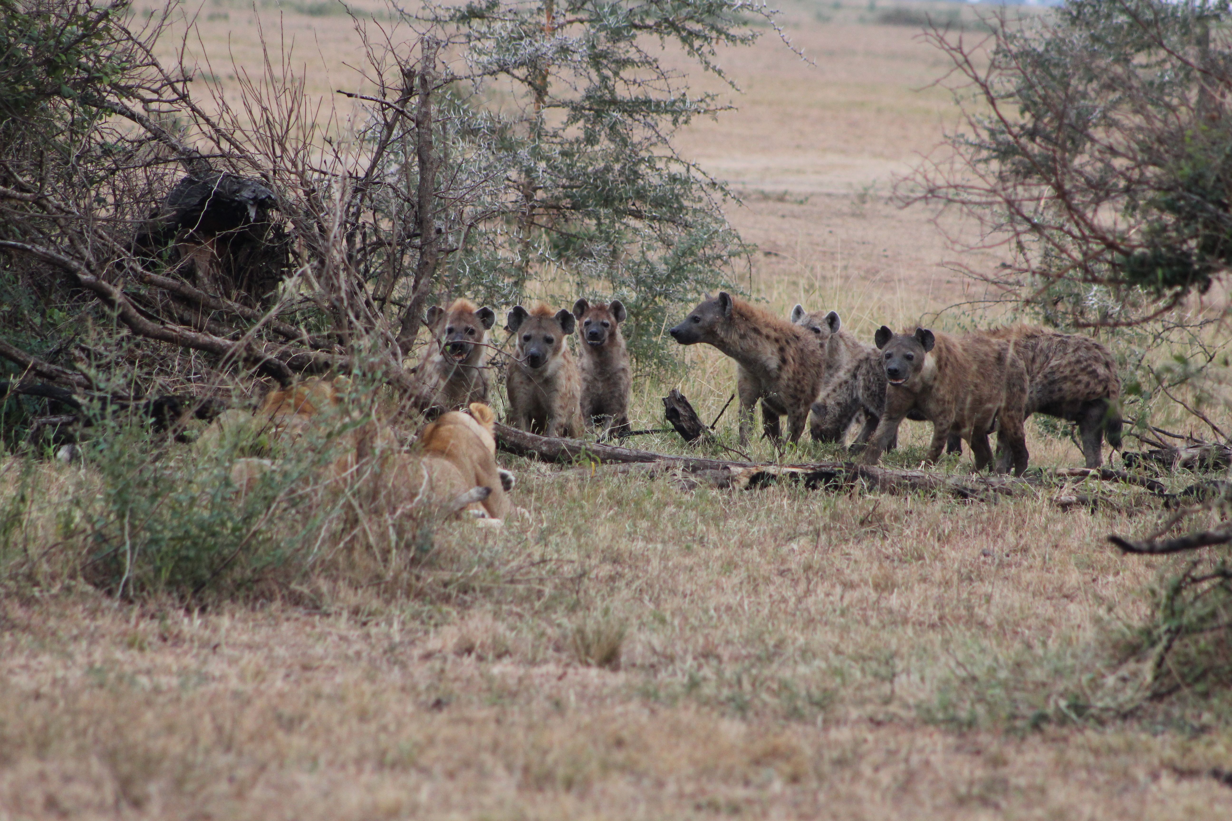 10 DAYS TANZANIA ADVENTURE