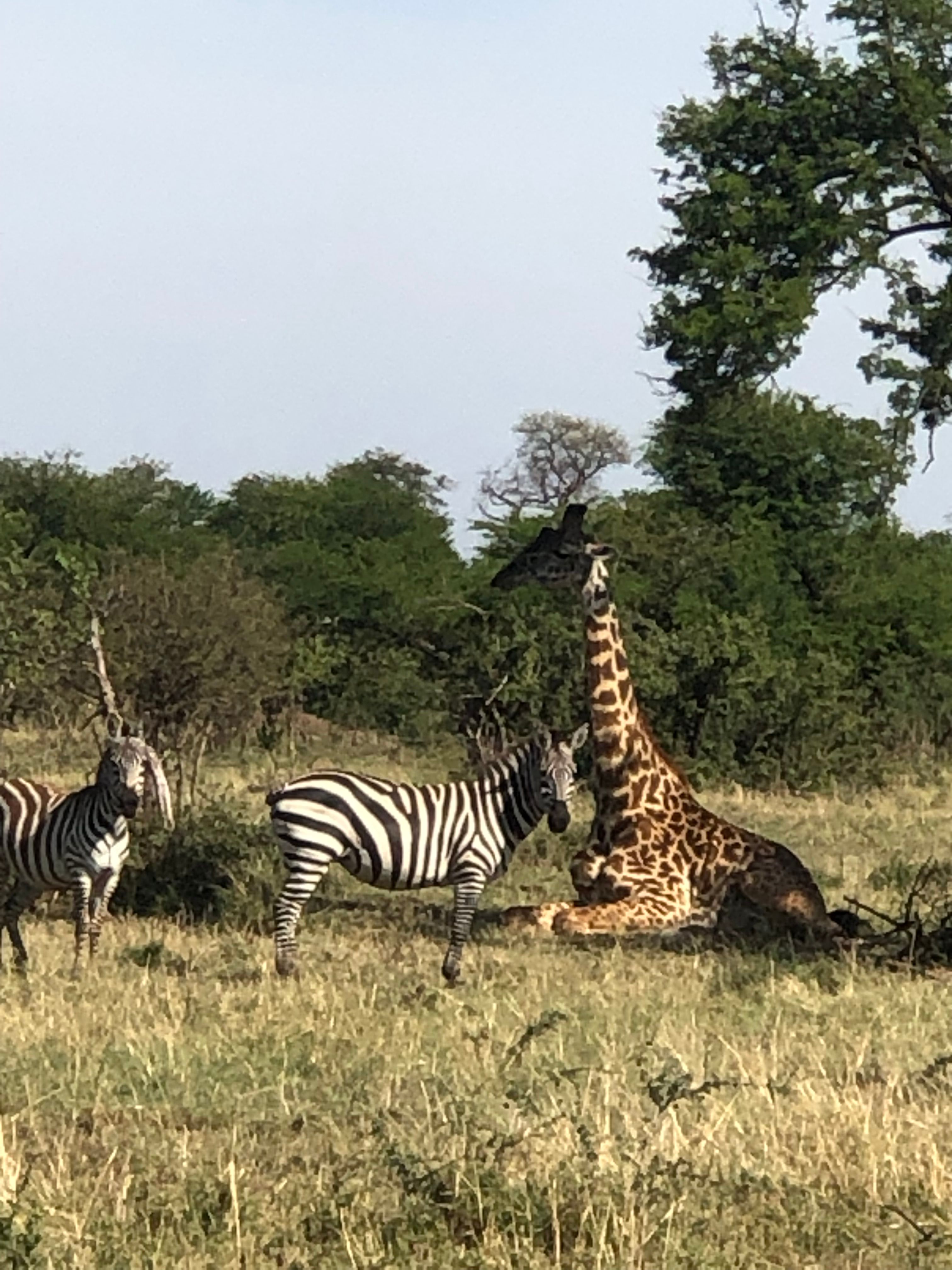 10 DAYS TANZANIA ADVENTURE