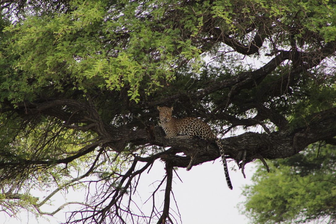 7 DAYS SERENGETI PHOTOS