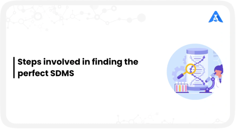Steps involved in finding the perfect SDMS