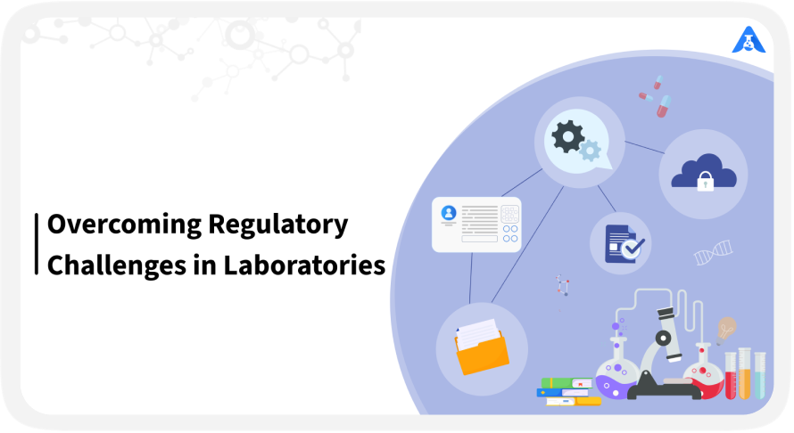 Overcoming Regulatory Challenges in Laboratories