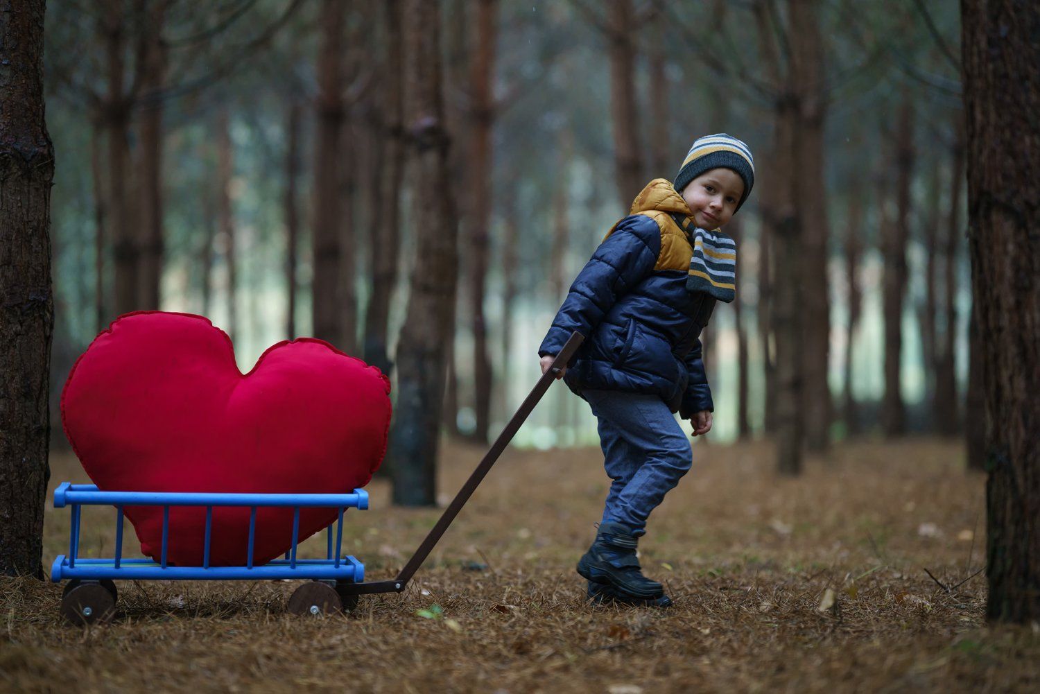 Twitter and the curse of non-interested followers