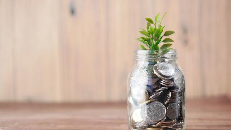 Calculating Profitability Ratios