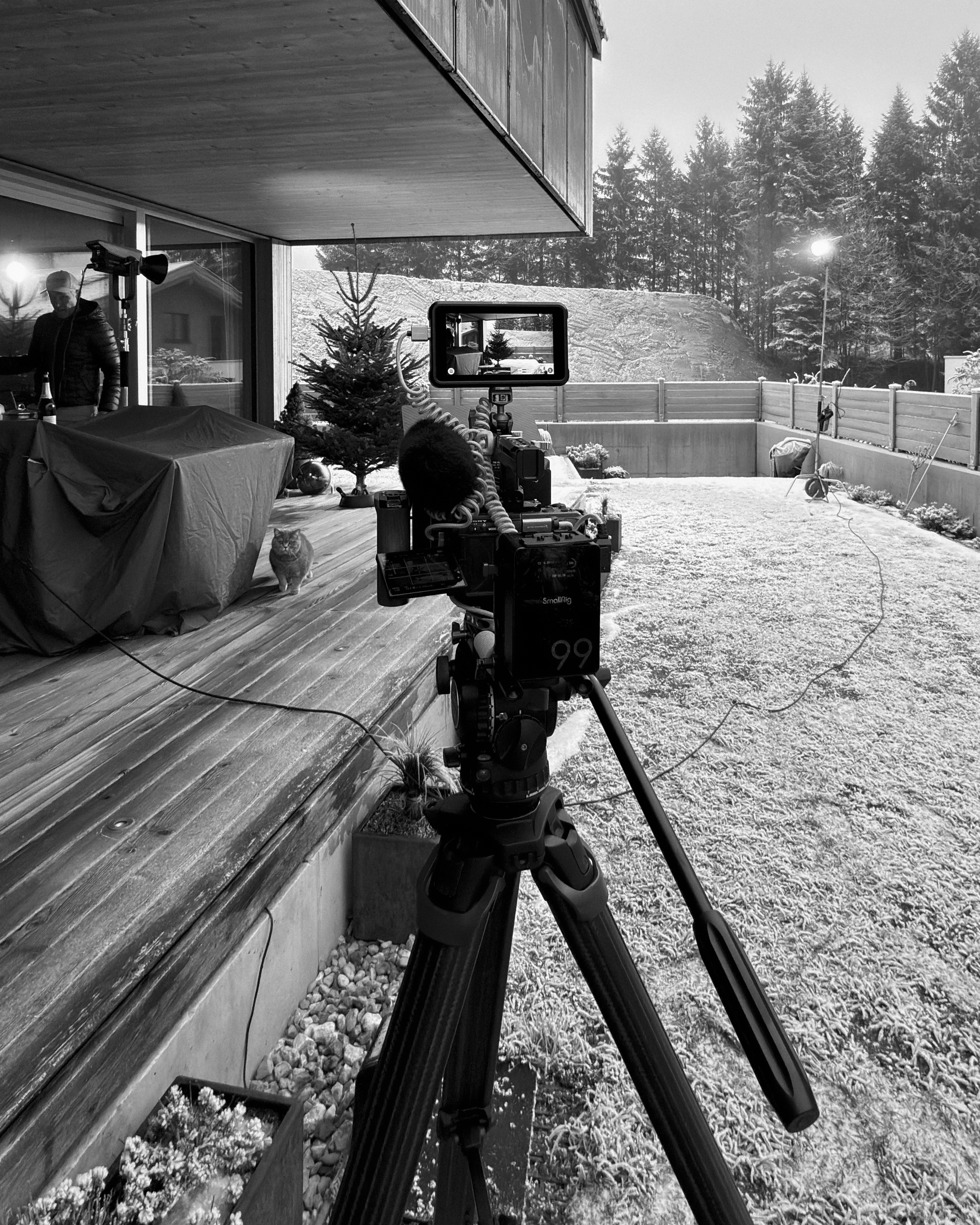 bts 1