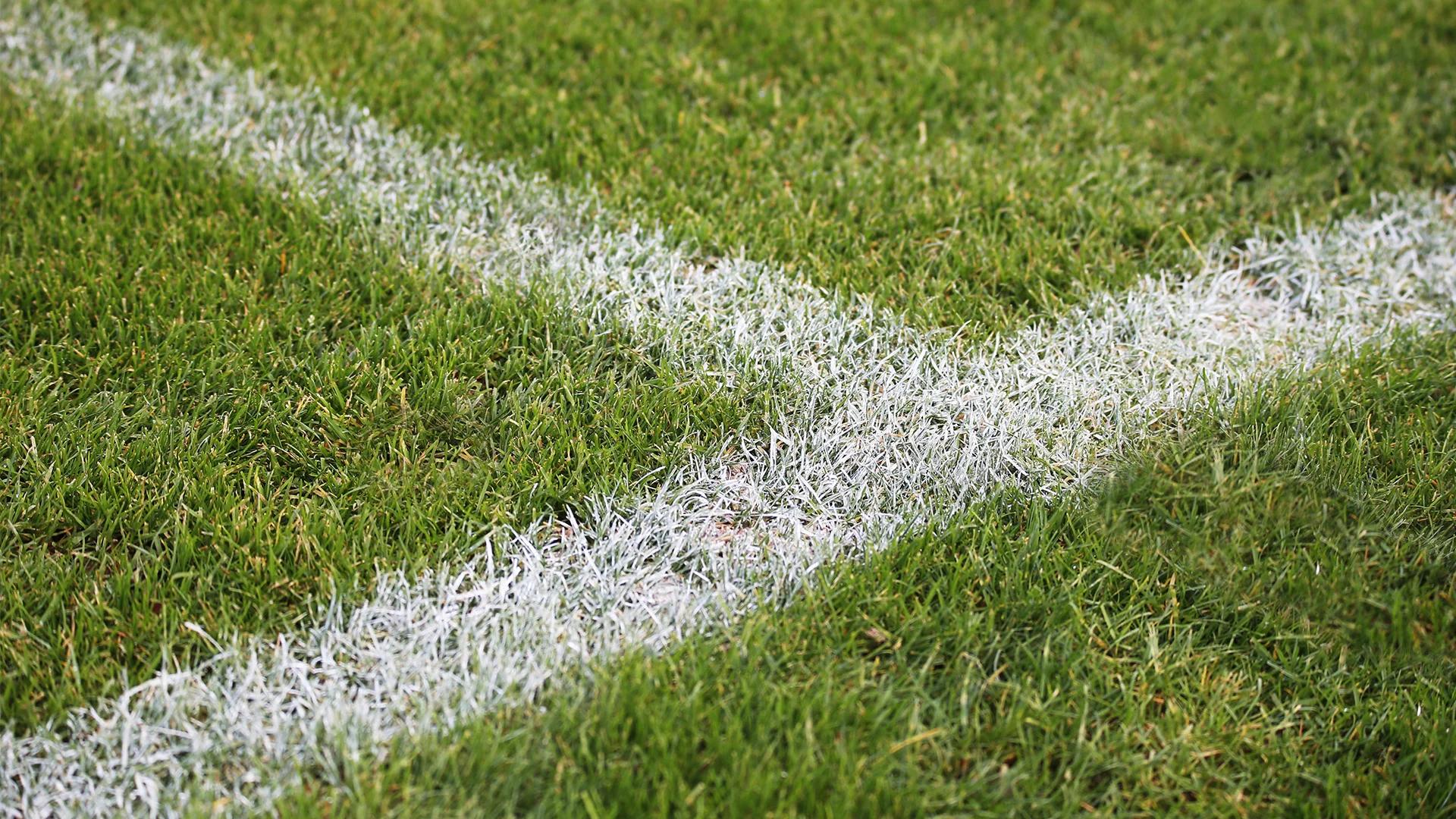 Closeup shot of painted white lines