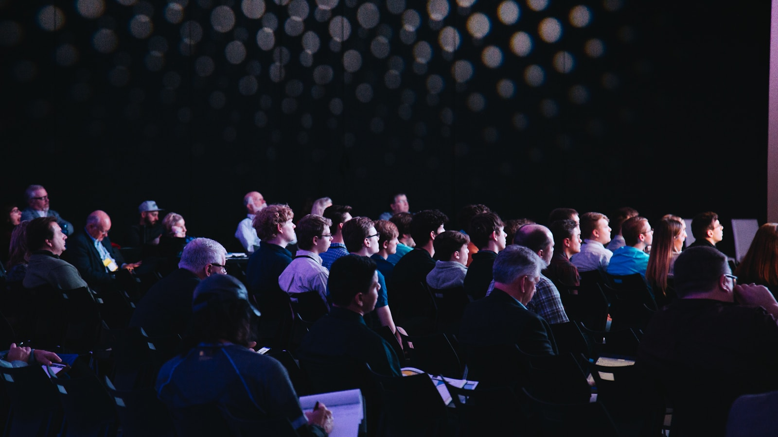 Emerging Artists Showcase