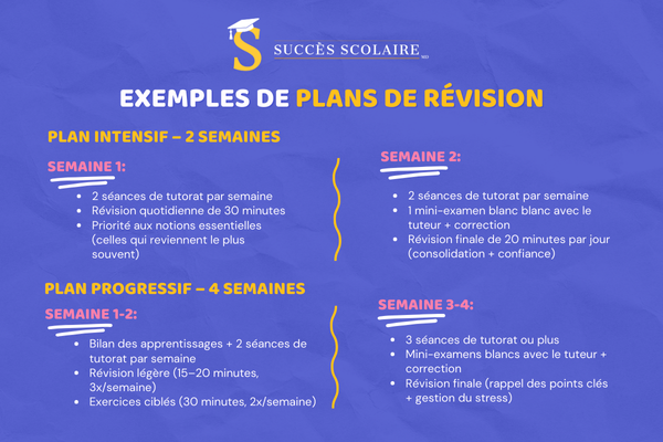 Exemples de plans de révision