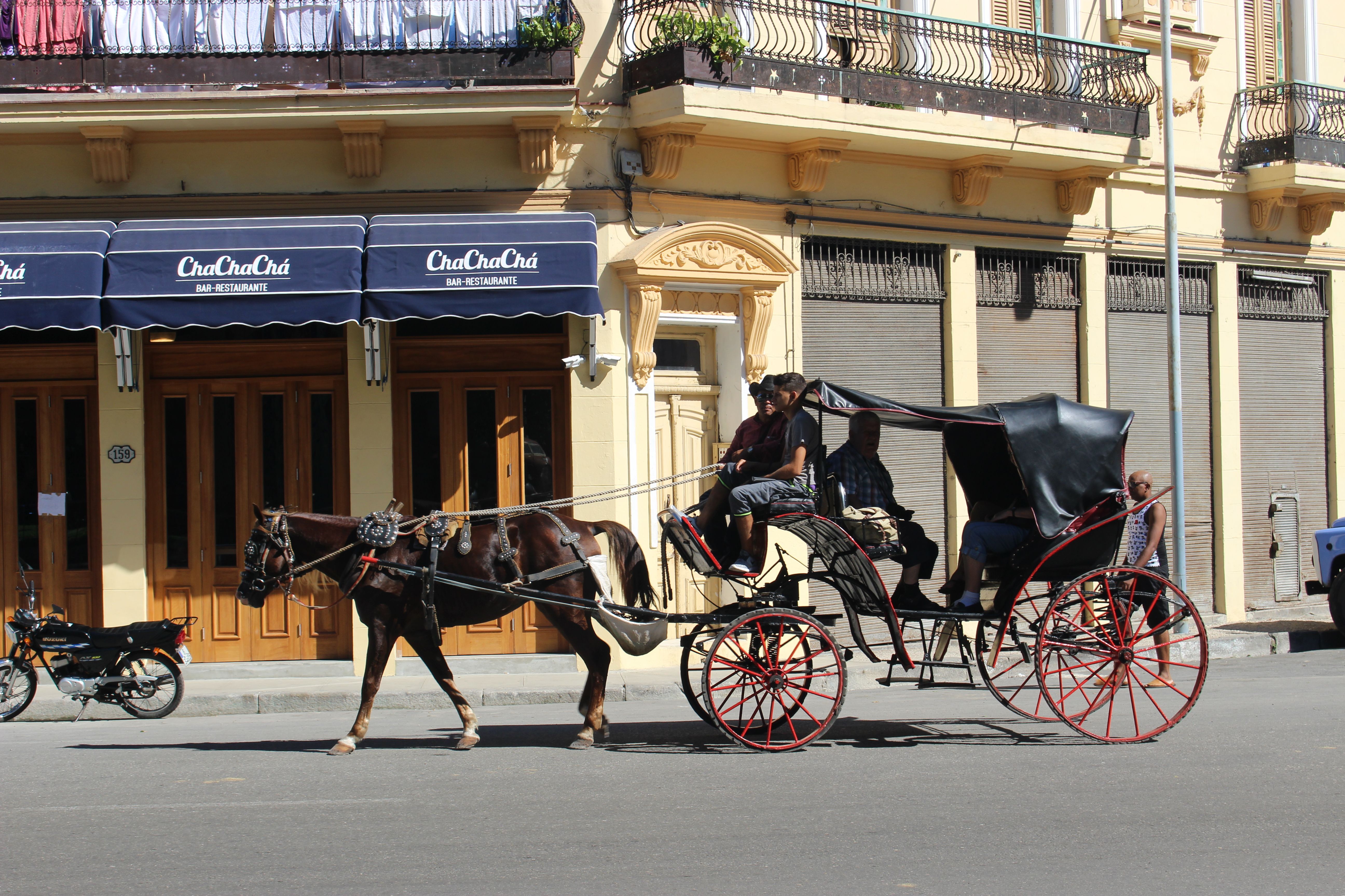 Excursions en calèche au lever du soleil