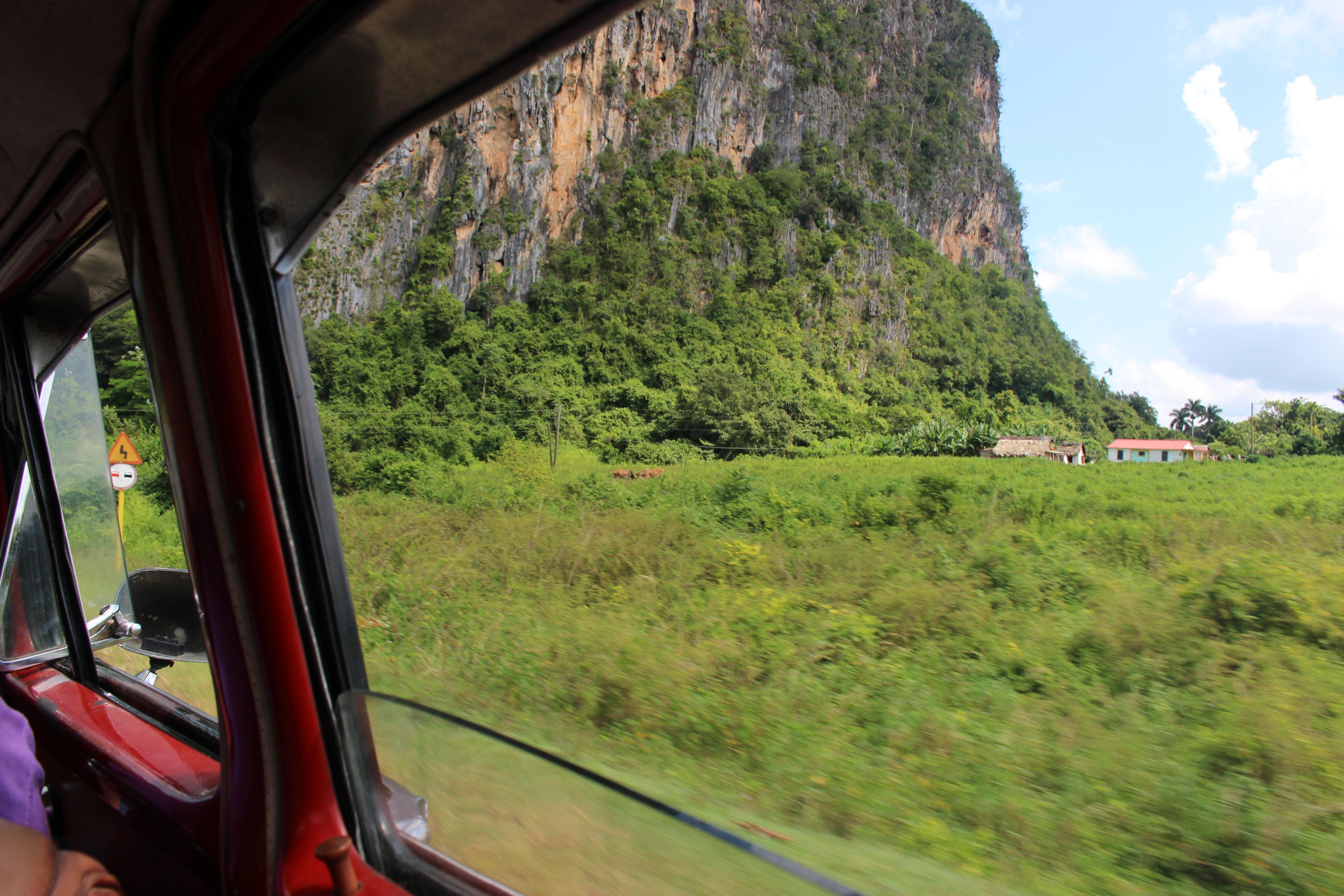 Vallée de Viñales - Image 7