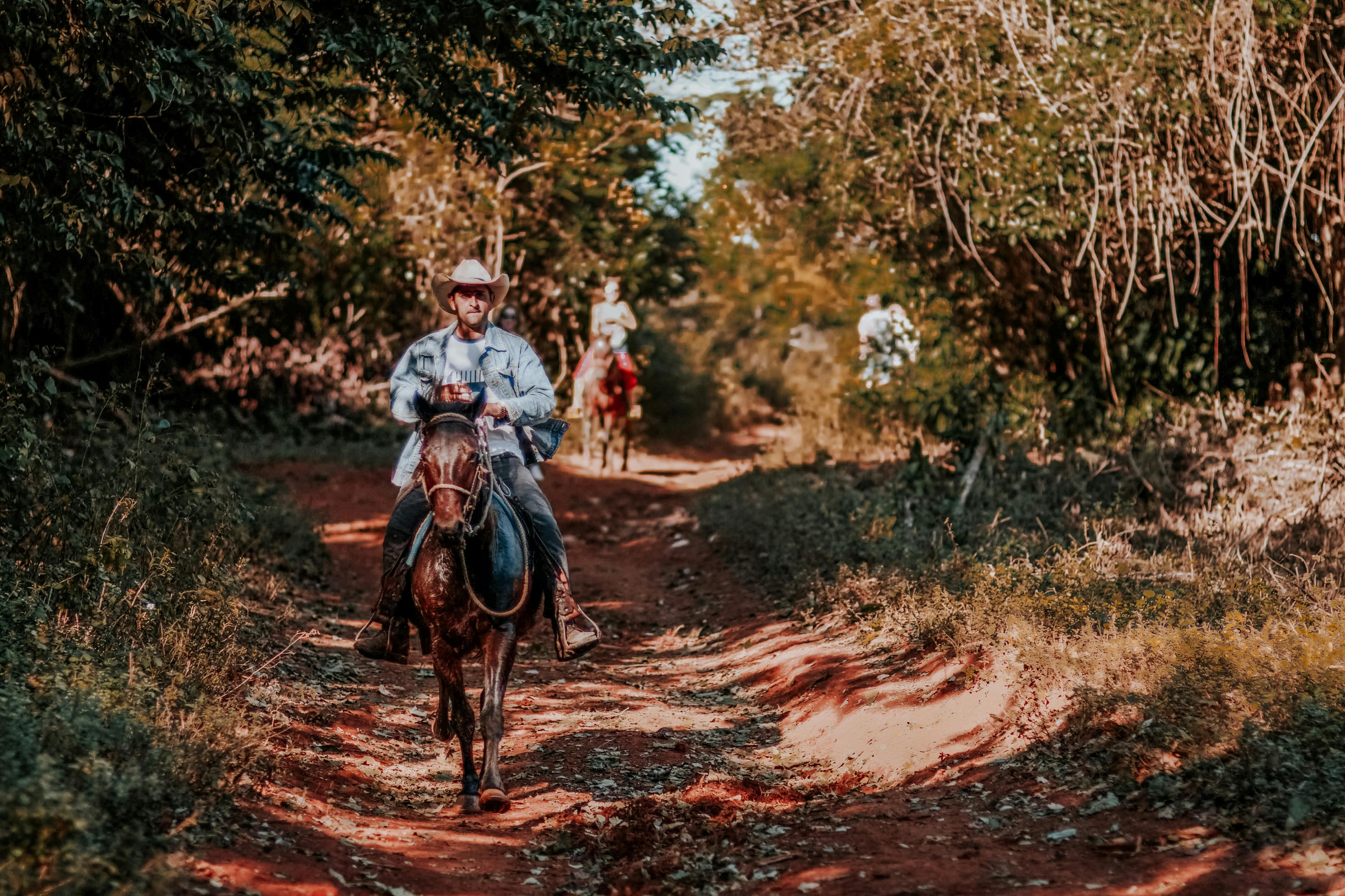 balade cheval cuba