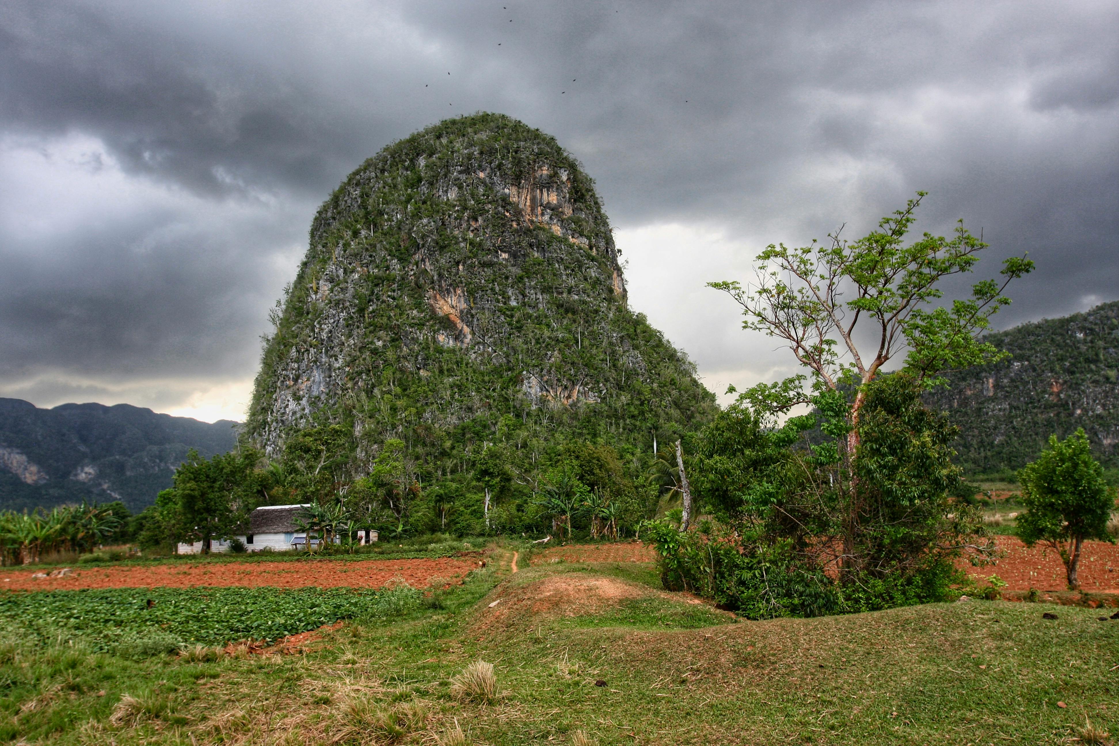 Vallée de Viñales - Image 3