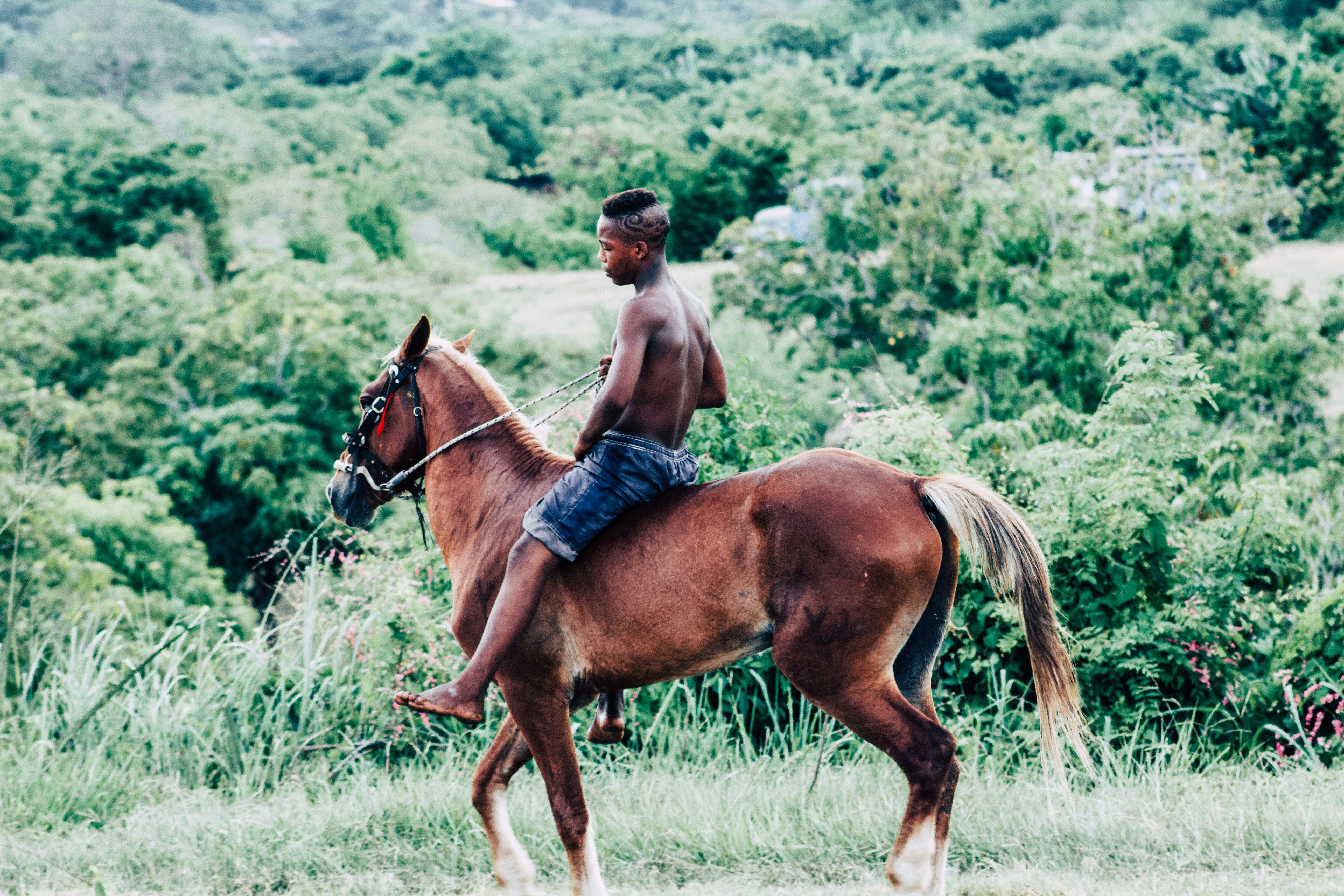 Balade à cheval – Cuba au rythme du pas