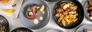 Octopus Grill