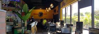 Fernandez the Bull Bonita Springs