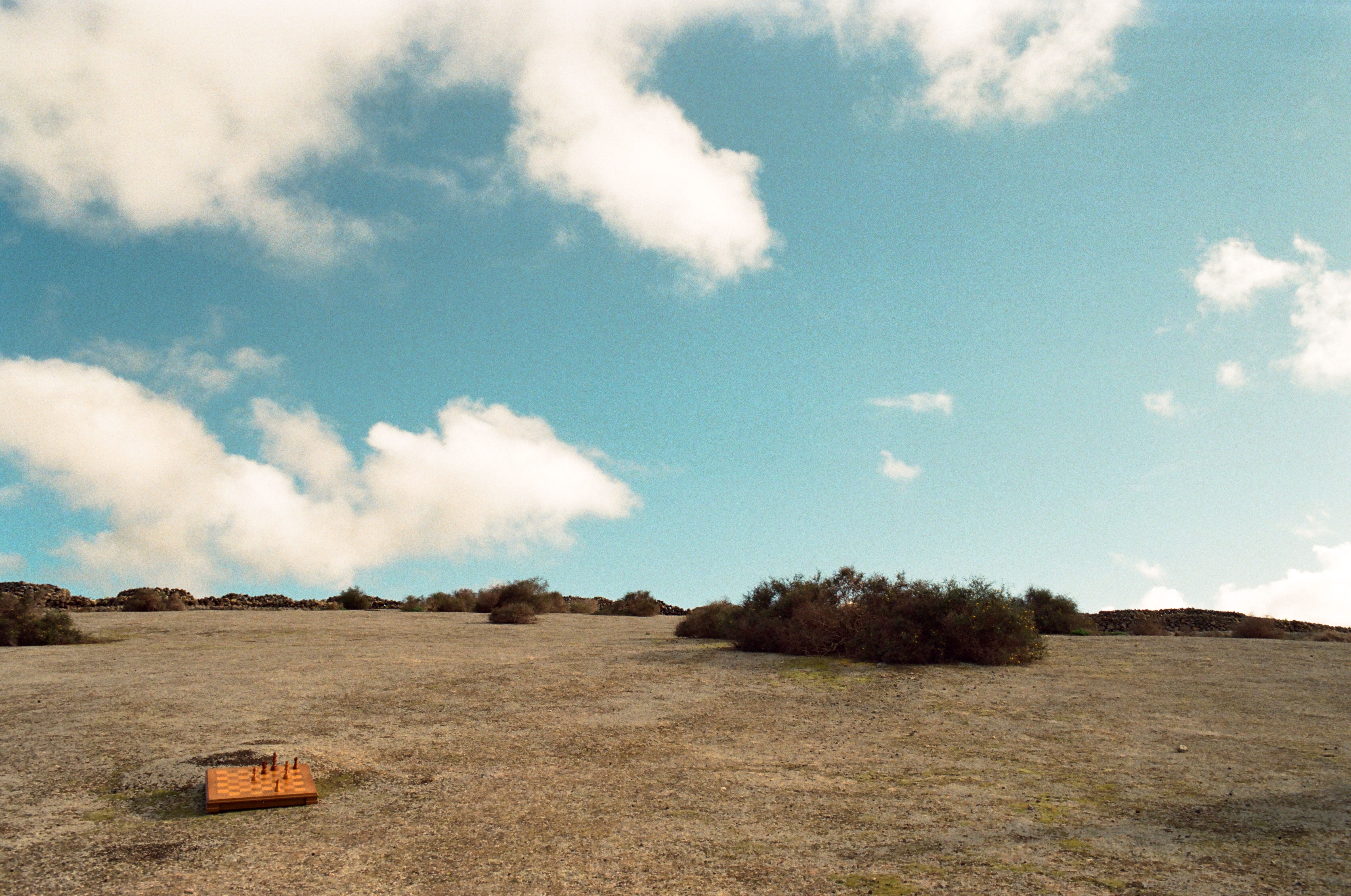 Image of Eva-Maria Horstick