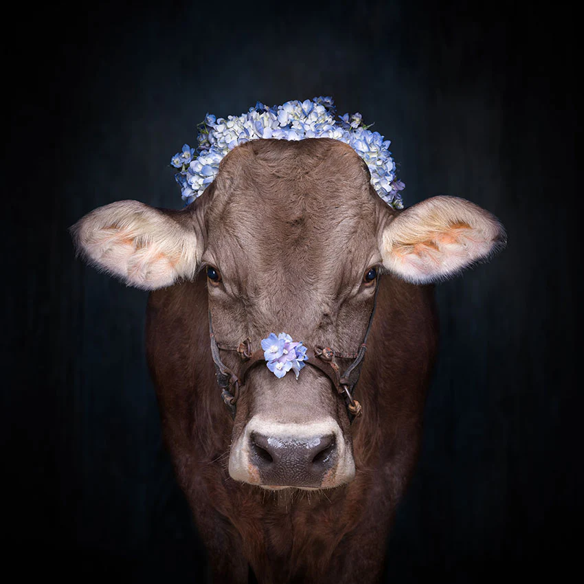 Image of Sebastian Wehrle