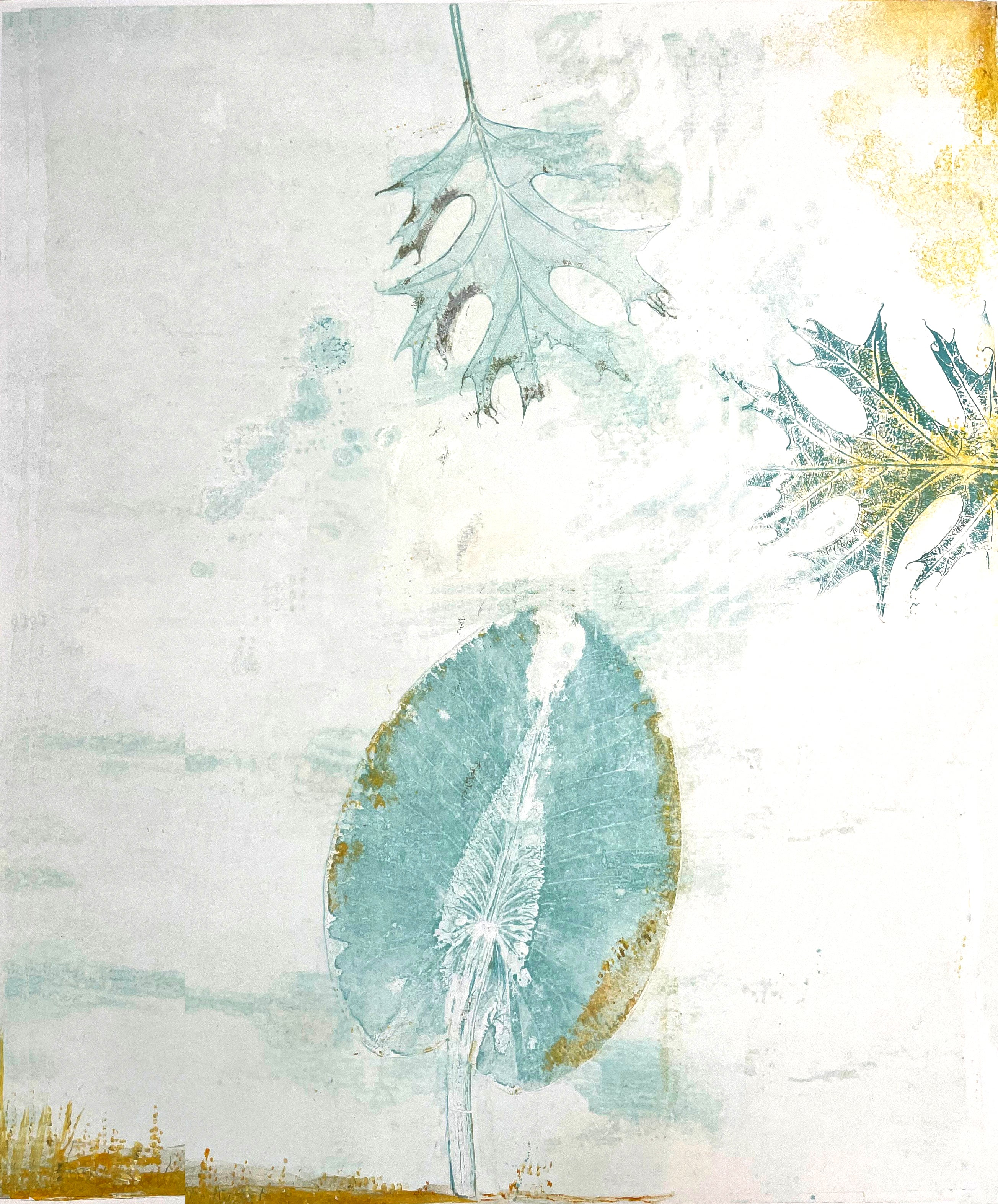 Image of Laurie Dolphin