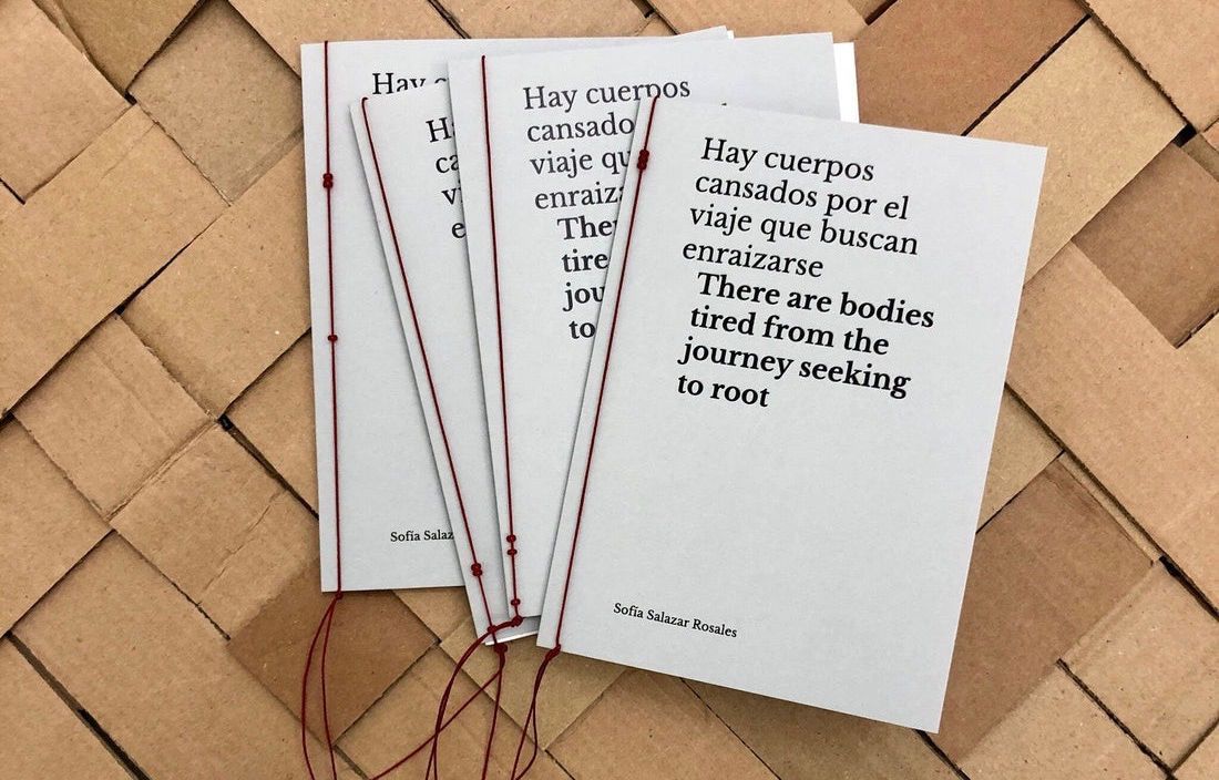 Hay cuerpos cansados por el viaje que buscan enraizarse cover