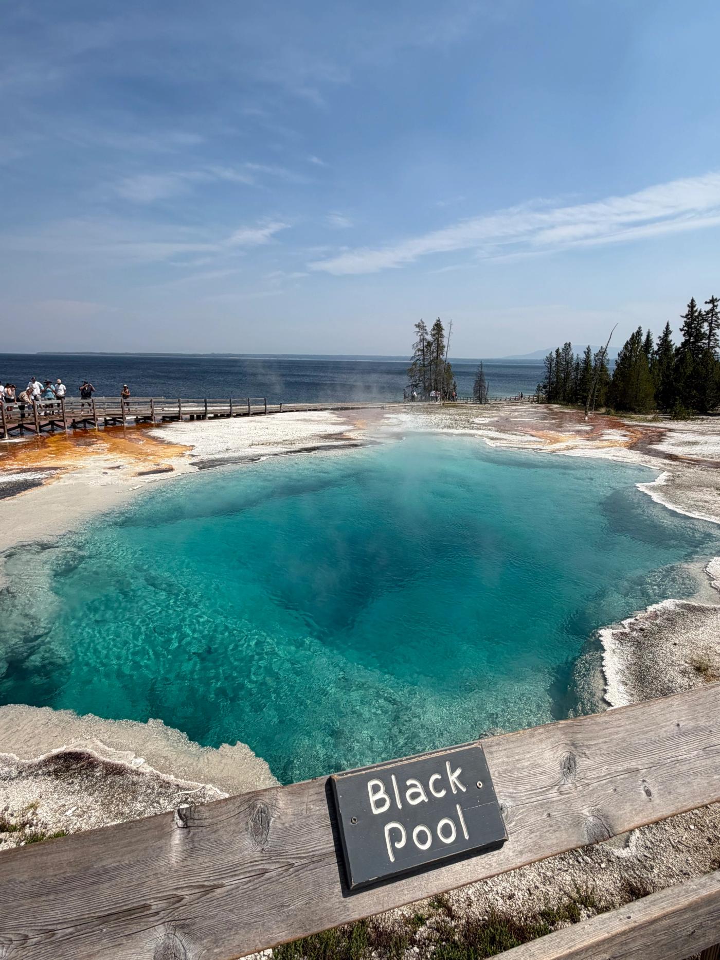 Clear turquoise water at Black Pool beside Yellowstone Lake.