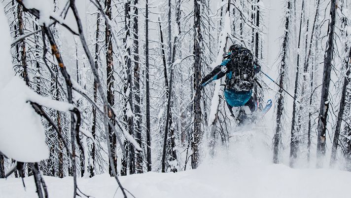 Person skiing through a snowy forest, captured mid-air while jumping between tall, snow-covered trees.
