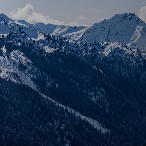 Snow-covered mountain range with dense evergreen forest on lower slopes under a clear sky.