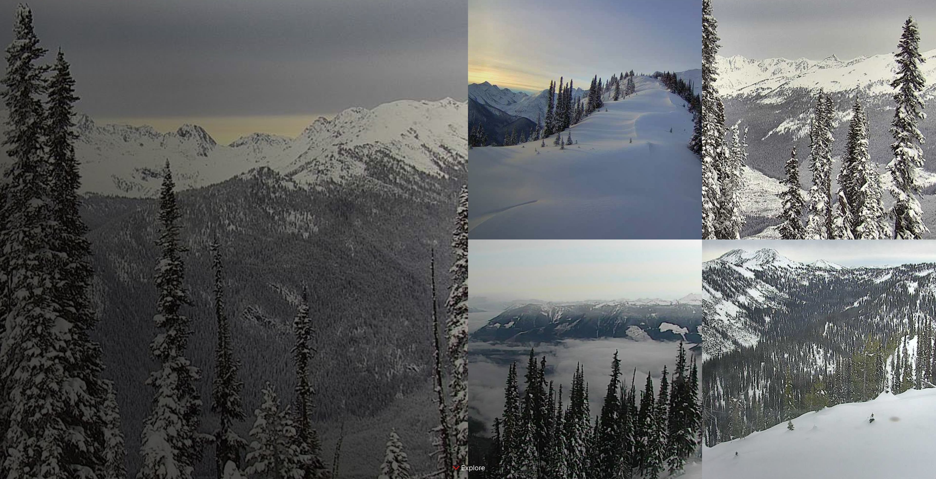 collage of webcam images