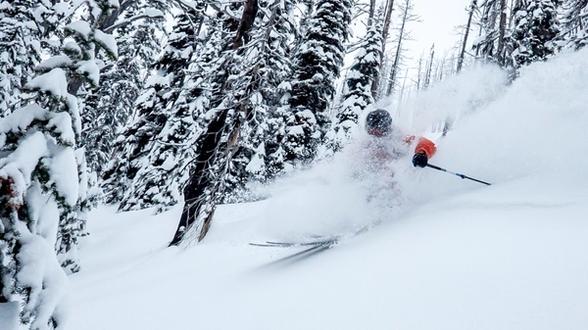 Skier in an orange jacket and black helmet skiing through deep snow in a forested area, with snow-covered trees and powder being kicked up around them.