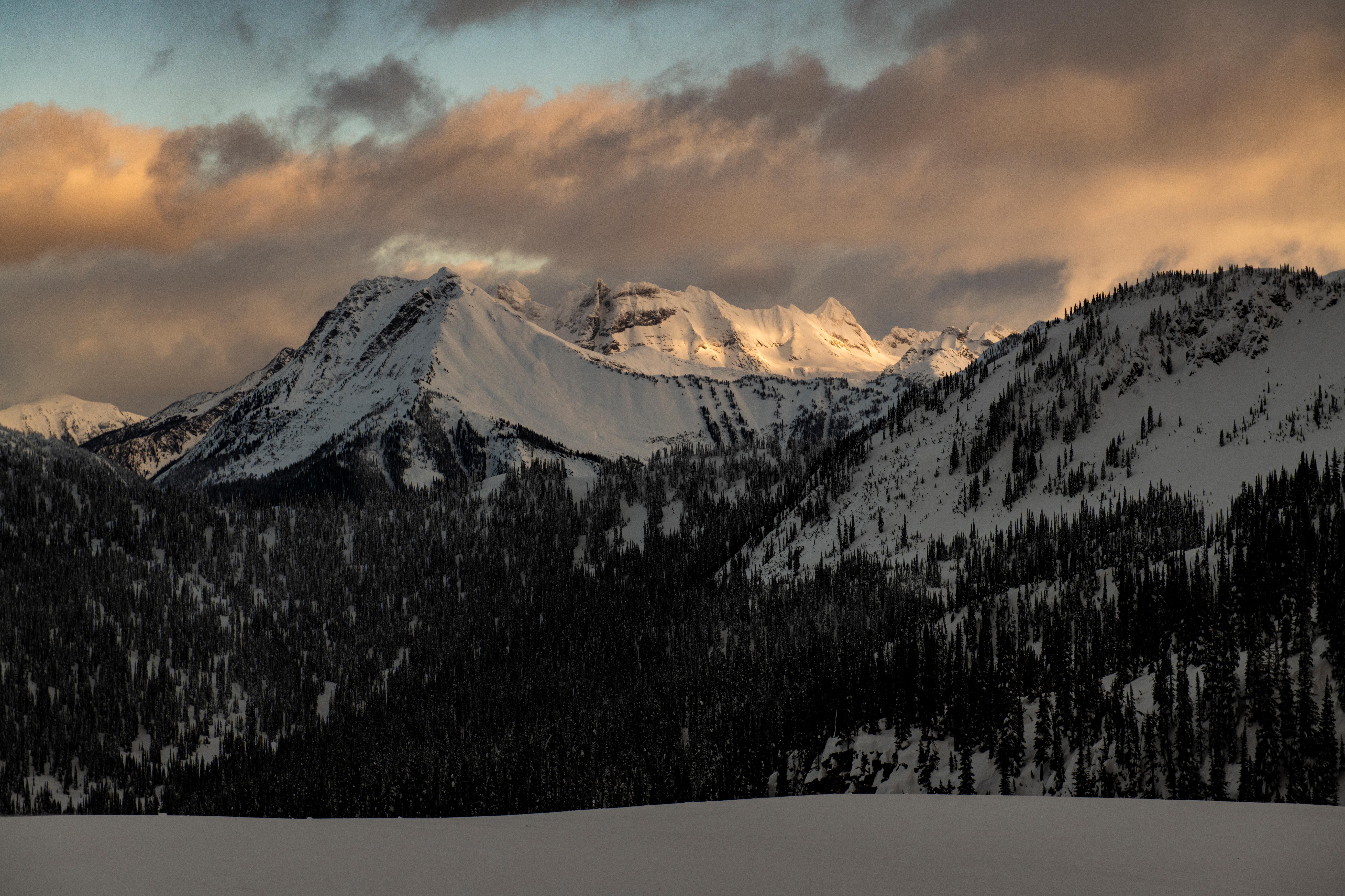 A group of CMH staff members