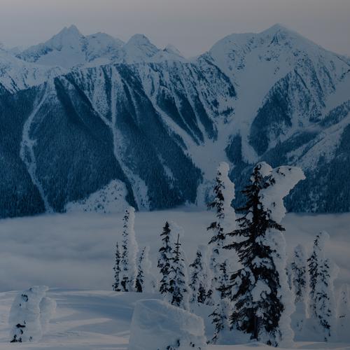 Snow-covered trees in the foreground with towering mountain peaks and a layer of clouds below.