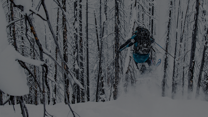 Person skiing through a snowy forest, captured mid-air while jumping between tall, snow-covered trees.