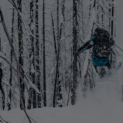 Person skiing through a snowy forest, captured mid-air while jumping between tall, snow-covered trees.